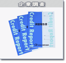 企業調査