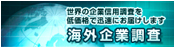 海外調査